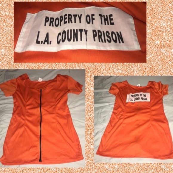"PRISON PRINCESS!" WOMENS PARIS HILTON COSTUME SIZE MEDIUM NEW! - Picture 3 of 9